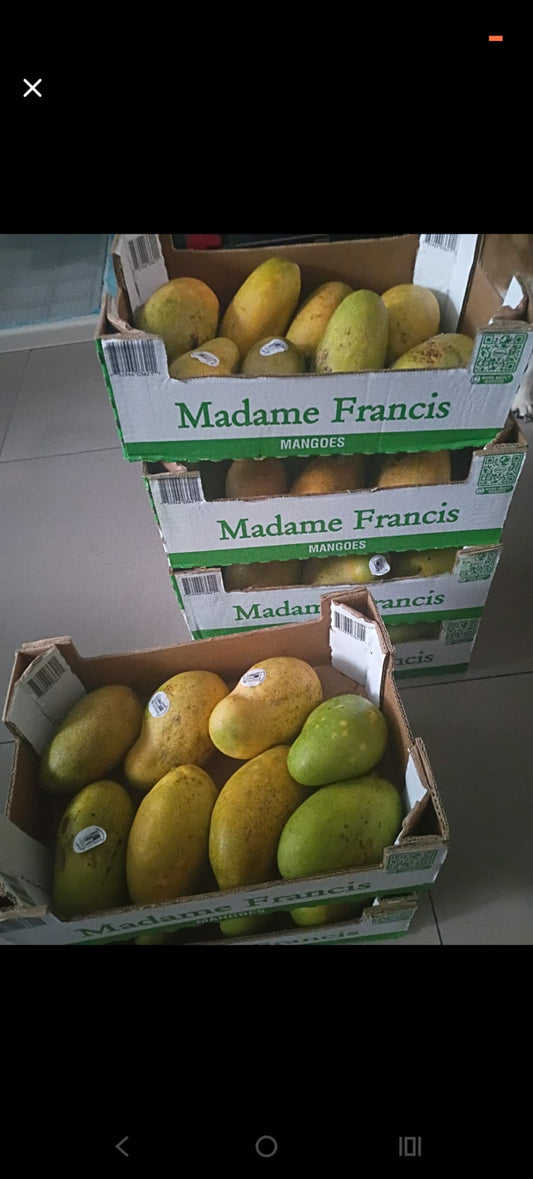 Mango Madame Francis