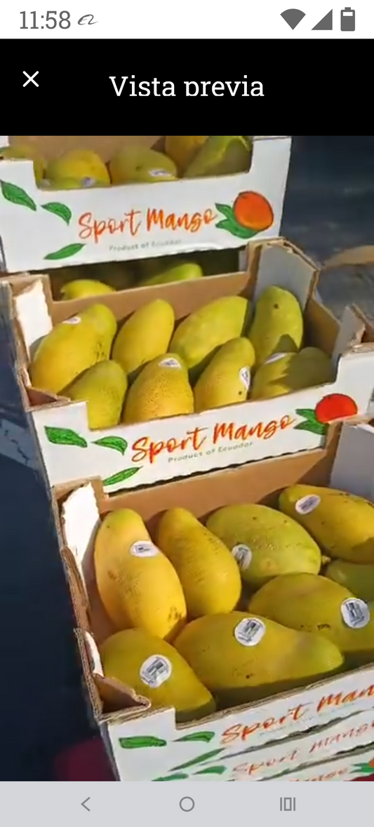 Mango Madame Francis