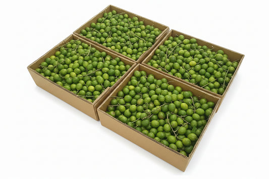 Exotic Spanish
Lime